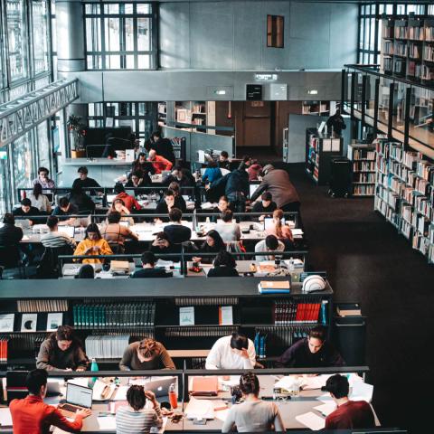 Future Skills You’ll Need In Your Career By 2030