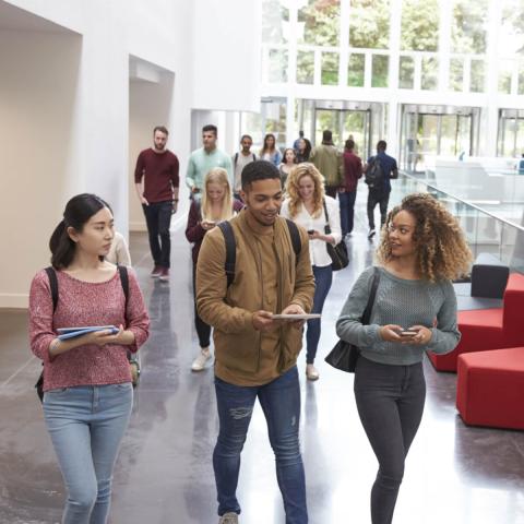 Higher education is part of the Agenda 2030 ecosystem